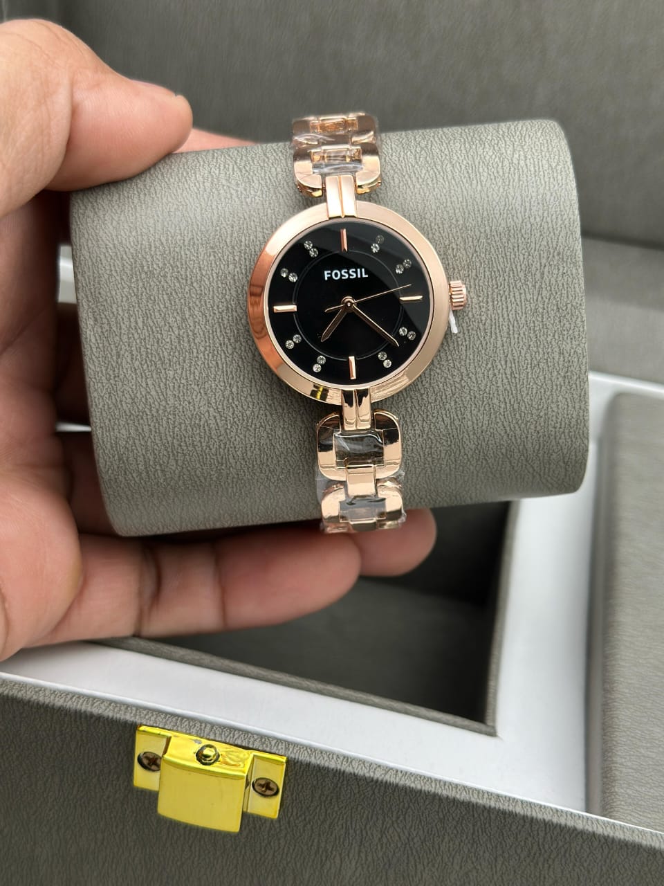 Fossil Elegance Collection